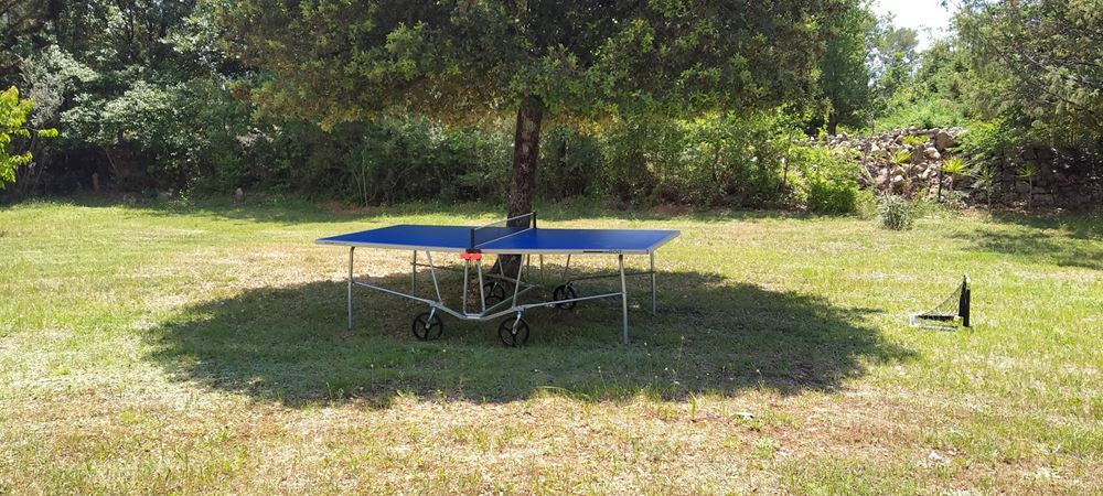 Table de ping-pong